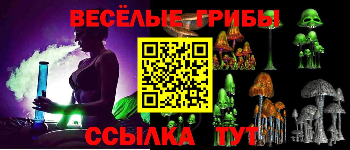 Новочеркасск  Галлюциногенные грибы ЛСД  Вход с VPN 