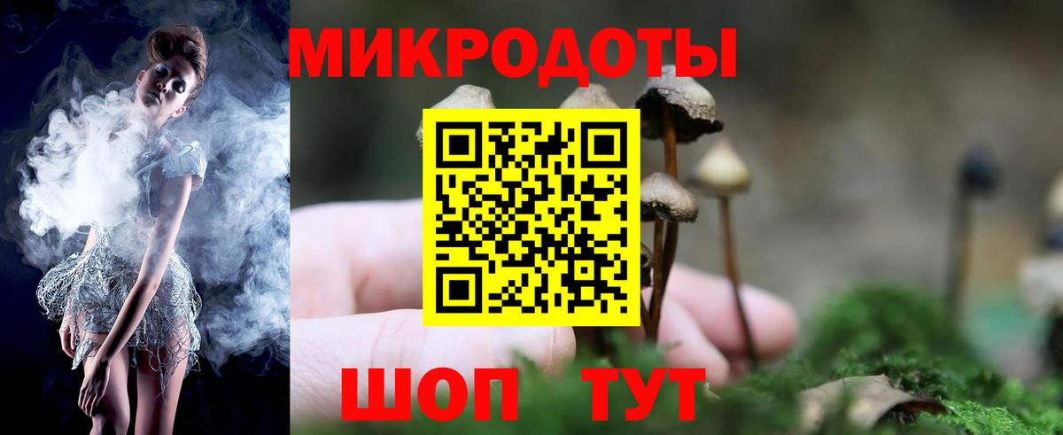 Галлюциногенные грибы Cubensis Новочеркасск